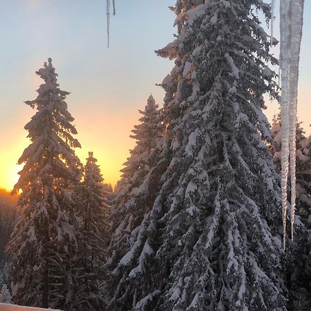Stenata Sport Apartments Pamporovo Exterior photo